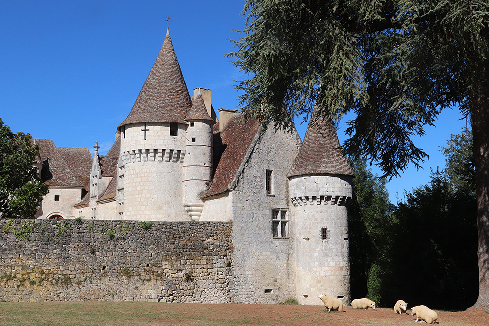 Frans kasteel Chateau de Bridoire in Dordogne