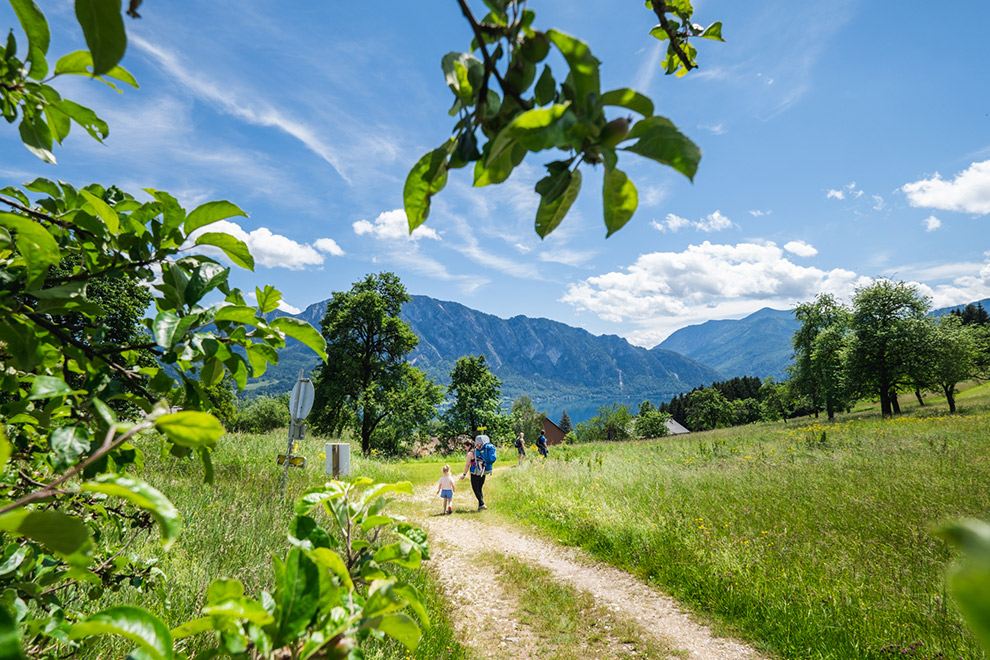 Wandelen met gezin door idyllisch groene bergen en langs meren in Oostenrijk