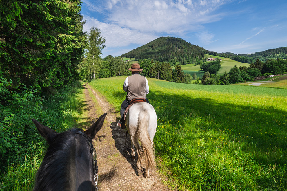 Te paard door de groene natuur van Oostenrijk
