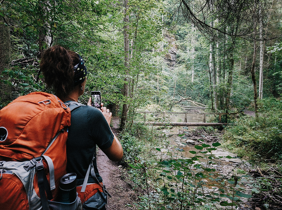 Blogger maakt foto van brug midden in bos Zwarte Woud