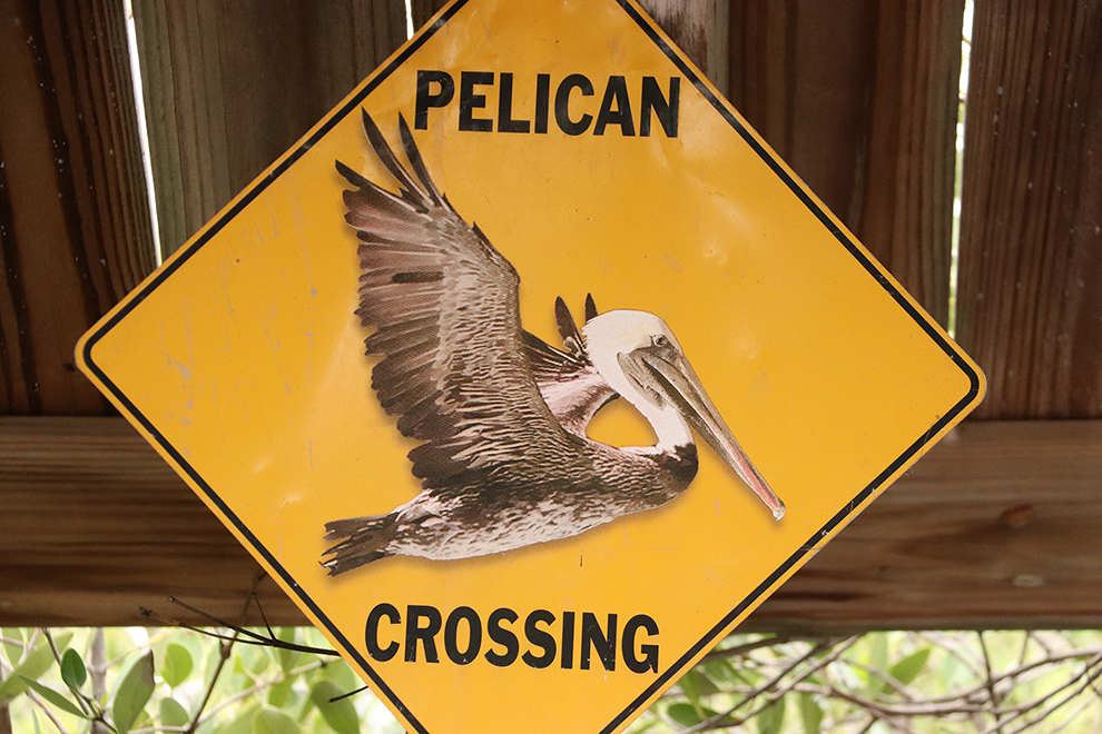 Bord 'Pelican crossing' in the V.S.