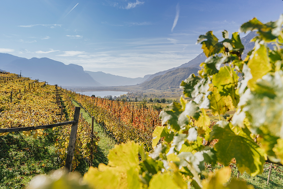 Zonnige wijnstreek van Zuid-Tirol