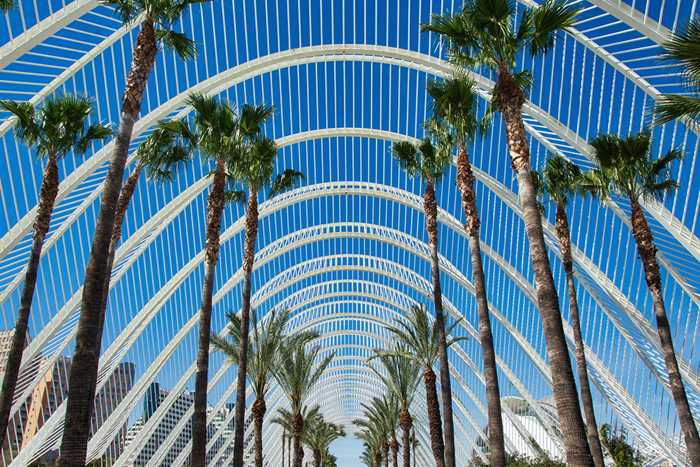 Futuristisch wit bouwwerk omringd door palmbomen en blauwe luchten
