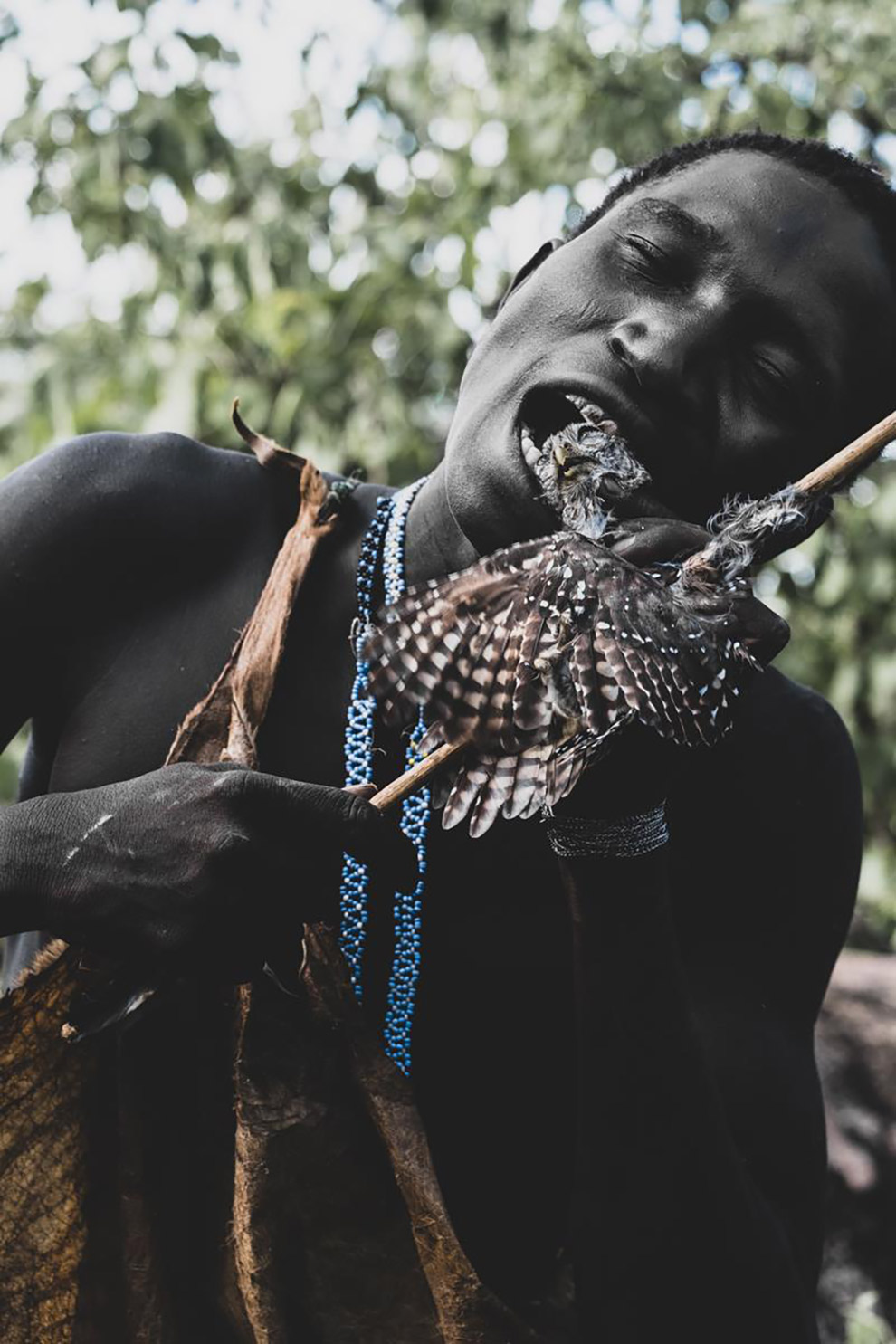 Tanzaniaanse jongen bijt kop van vogel op spit af