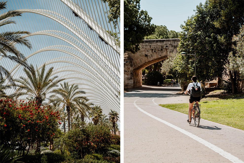 Fietsen door het Turia Park in Valencia