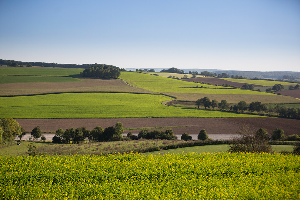 Groene heuvels in Zuid-Limburg