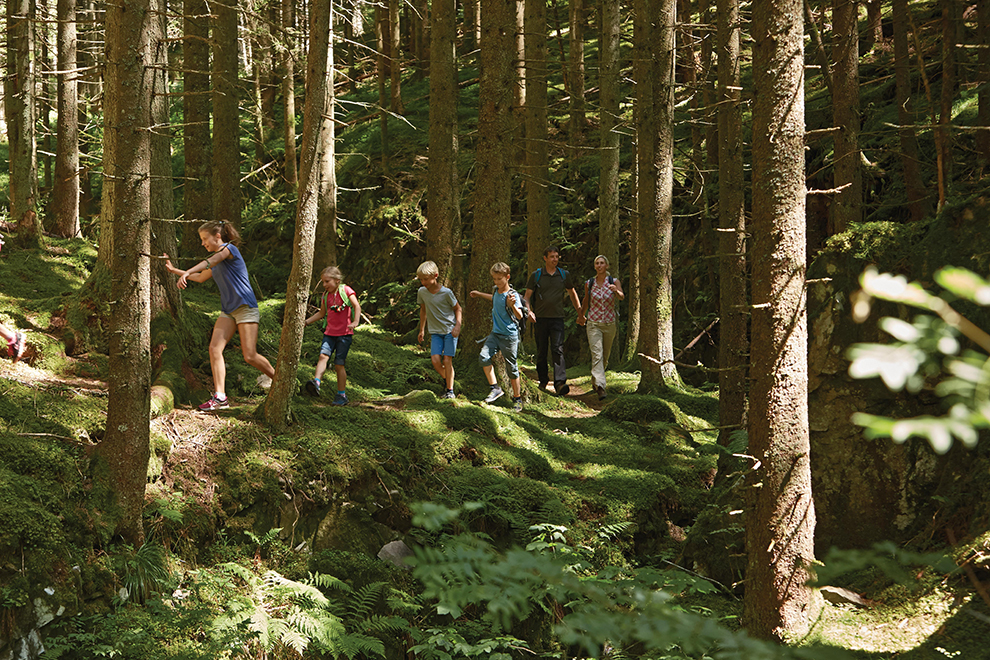 Familie wandelt samen door de bossen van het Zwarte Woud in Duitsland