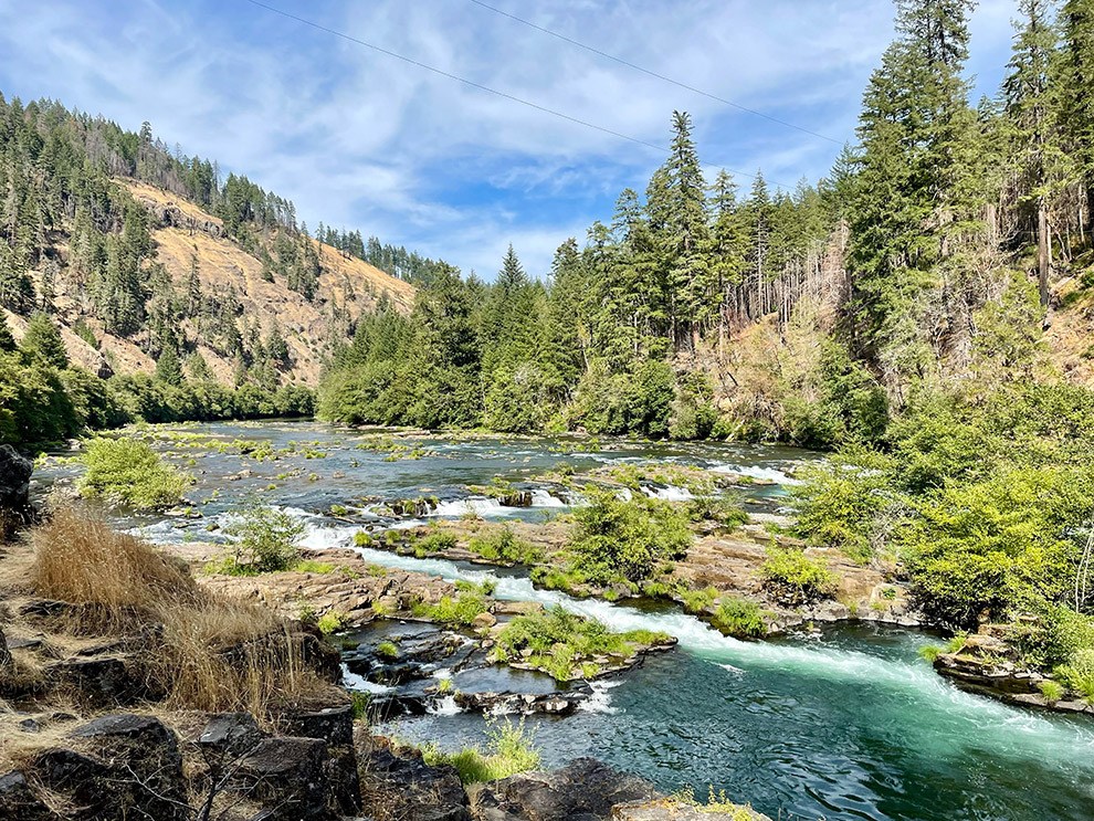 Umpqua National Forest in de VS