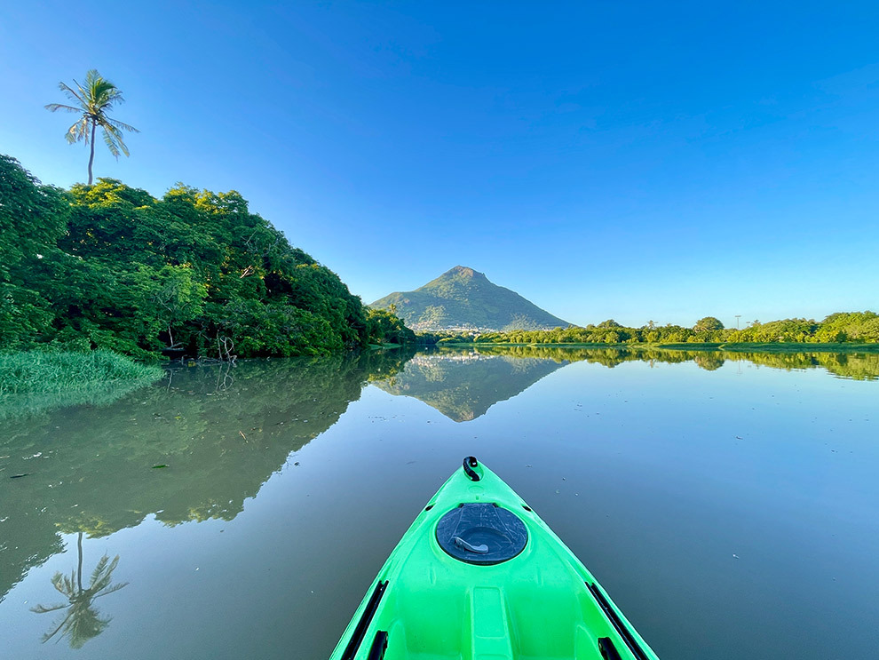 Kajakken door mangrove in Mauritius