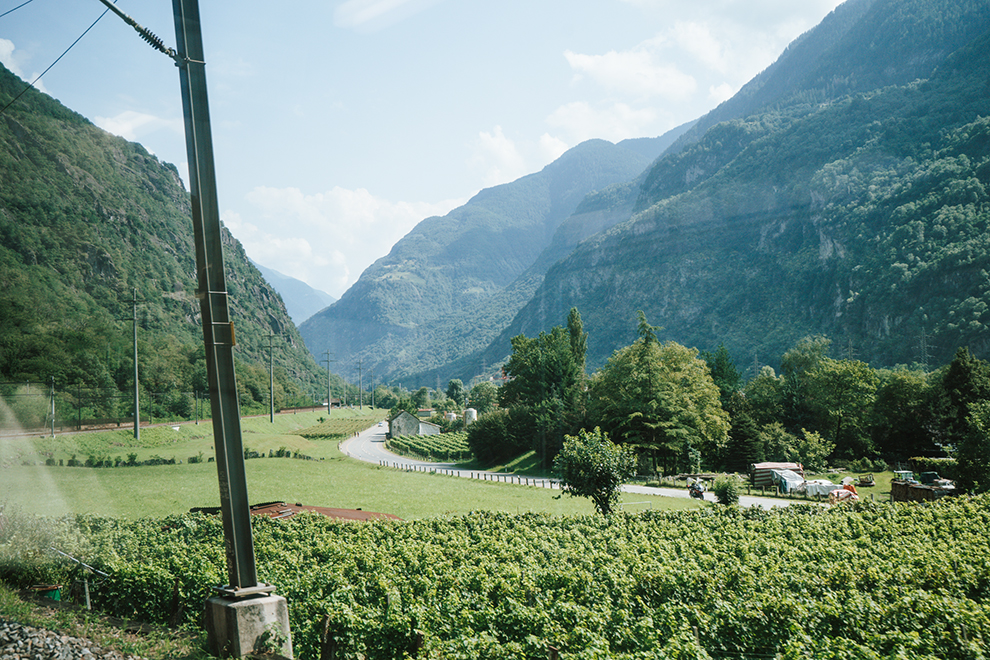 Uitzicht op groene bergen vanuit trein in Zwitserland