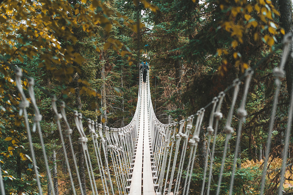 Klimmen in boomtoppen bij Treeosix Adventure Parks