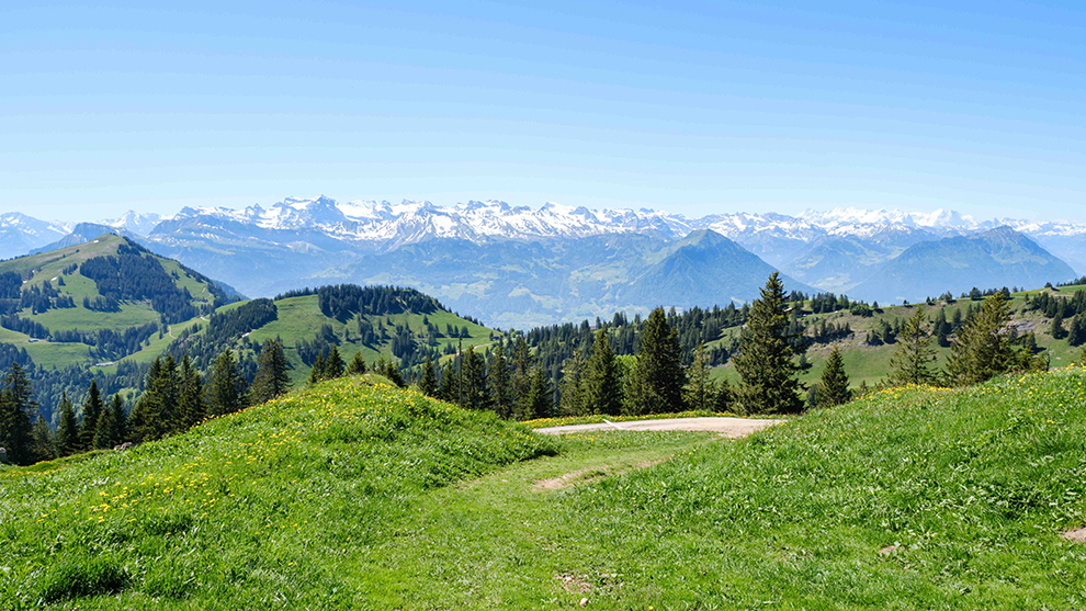 Besneeuwde bergtoppen in een groen Zwitsers landschap