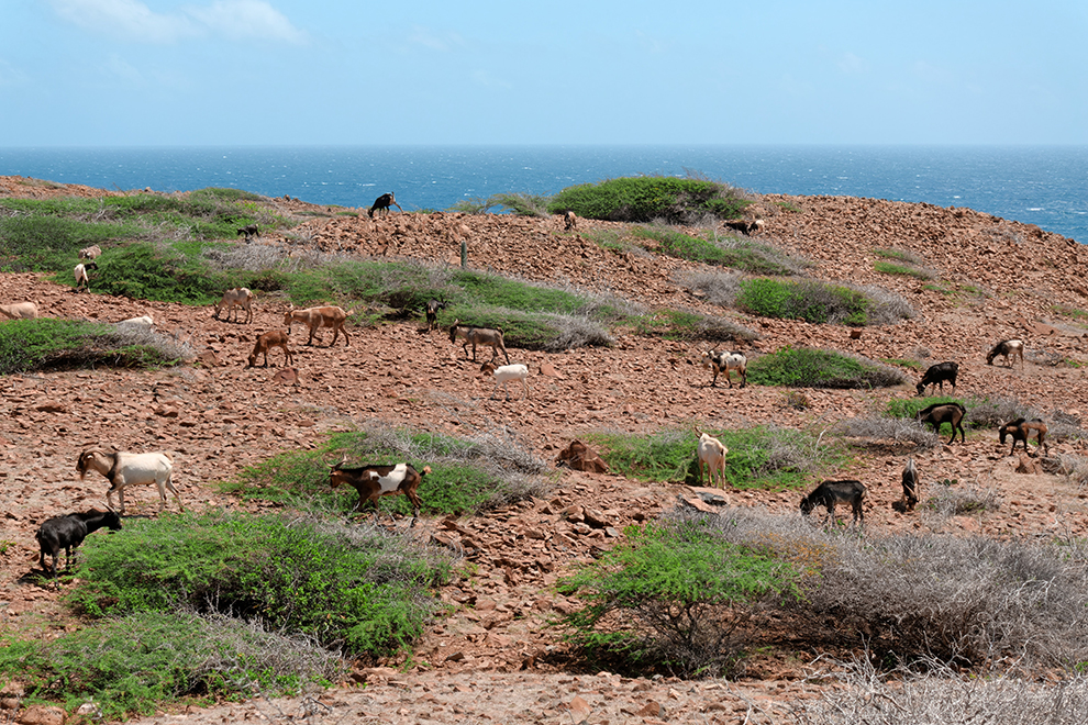 Avontuurlijk Arikok National Park op Aruba