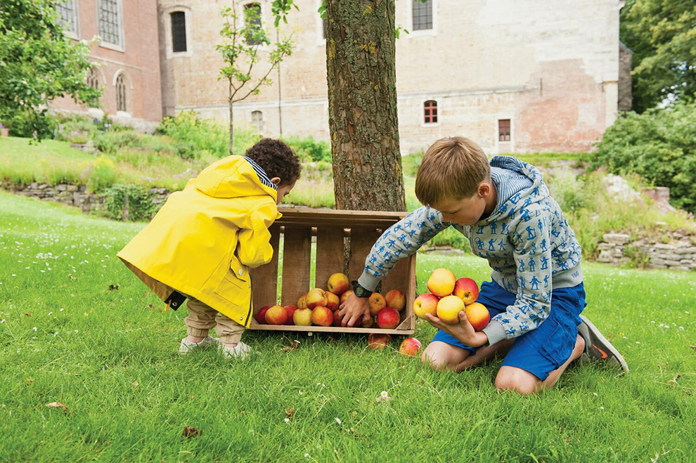 Kinderen genieten van zelfgeplukte appels in Gent