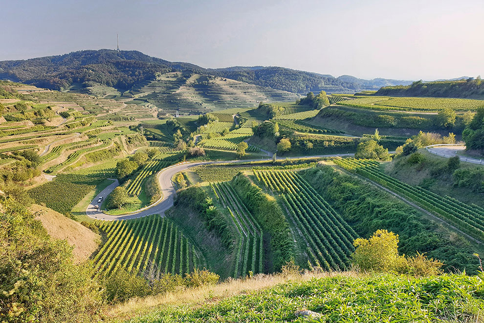 Slingerende wegen door Duits wijngebied