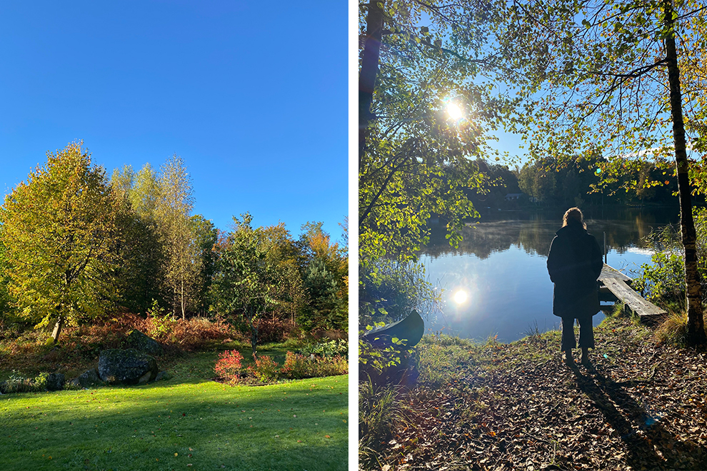 Prachtige herfstkleuren in de natuur van Zweden