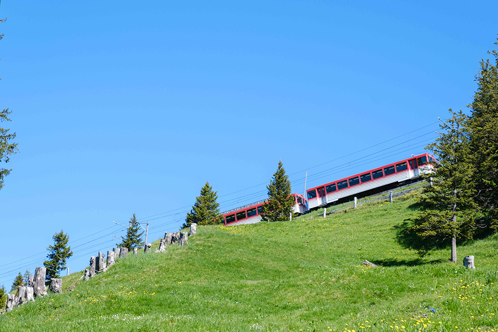 De rode trein van Rigi Bahn in Zwitsers landschap