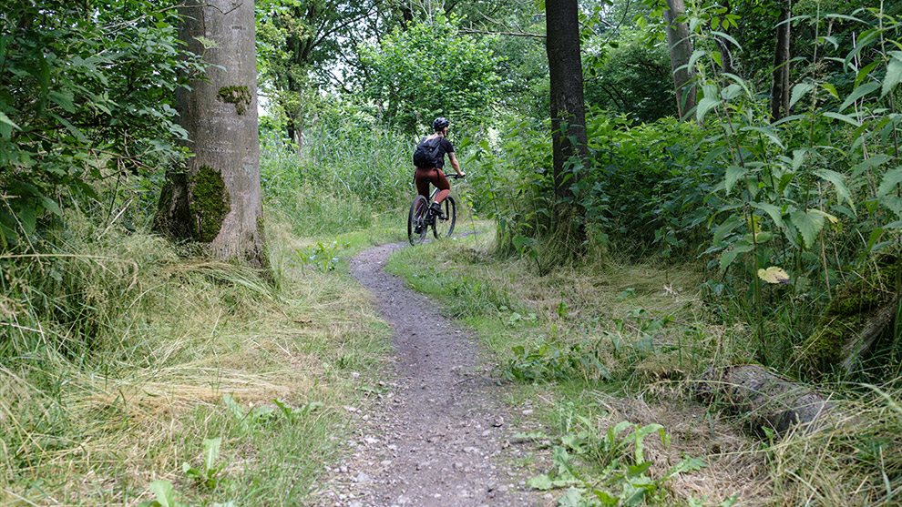 Mountainbiker in de groene bossen van Almere 