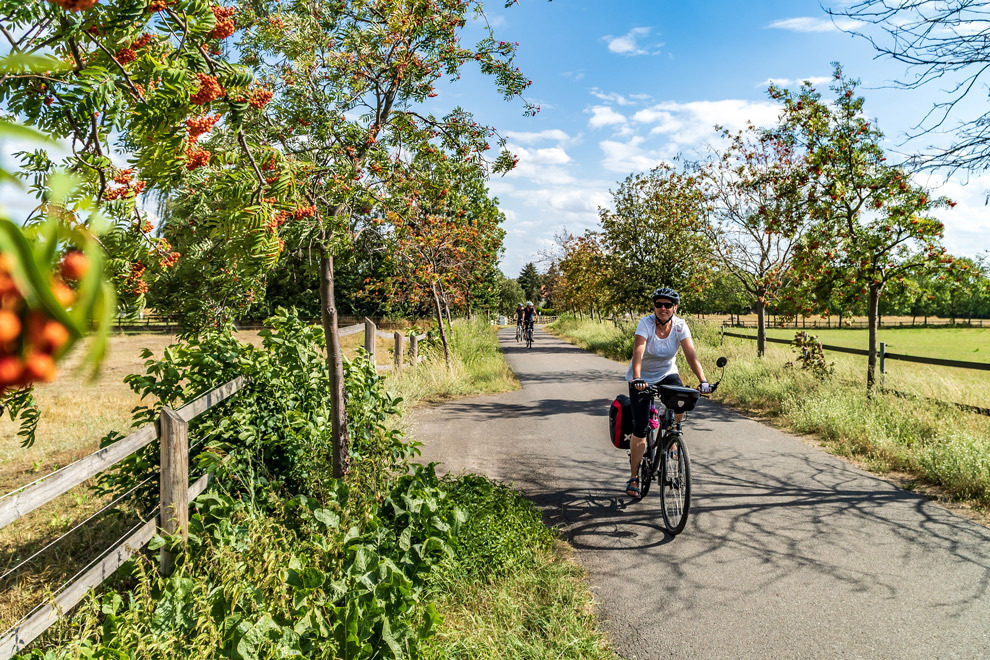 duitsland-leipzig-fietsen-zomer