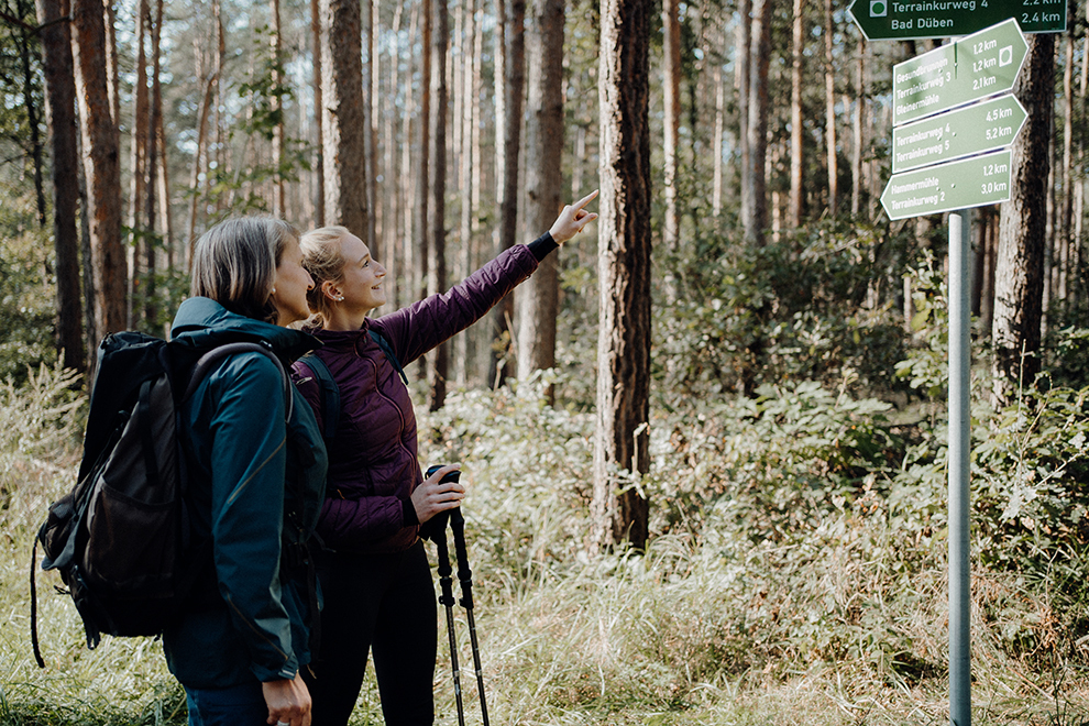 Wandel over de Dübener Heide