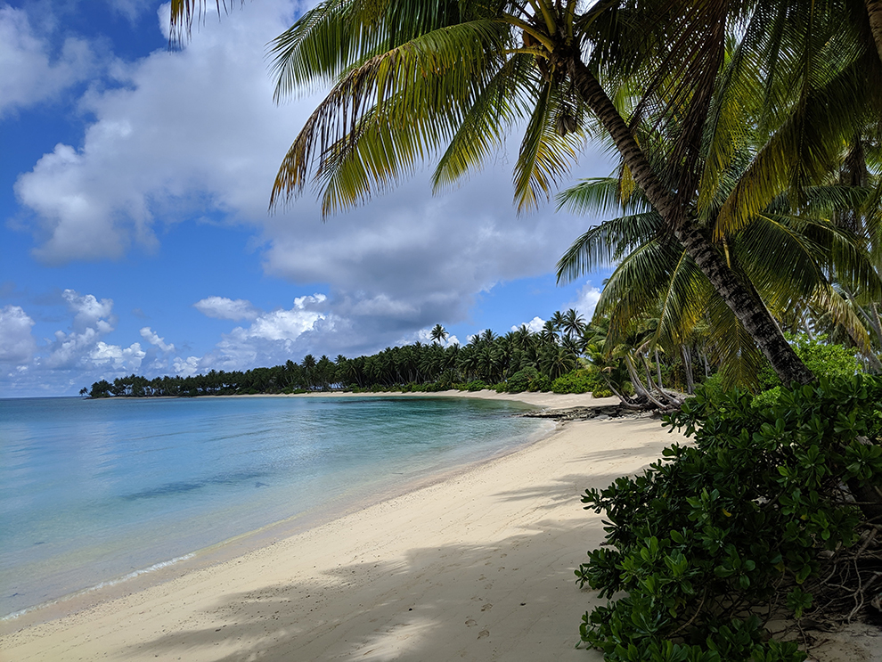 Tropische baai omringd door palmbomen en zandstranden