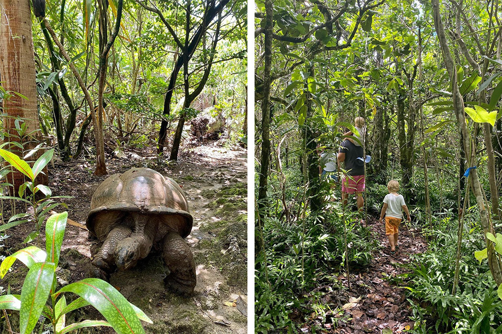 Familie op safari op Ile aux Aigrettes