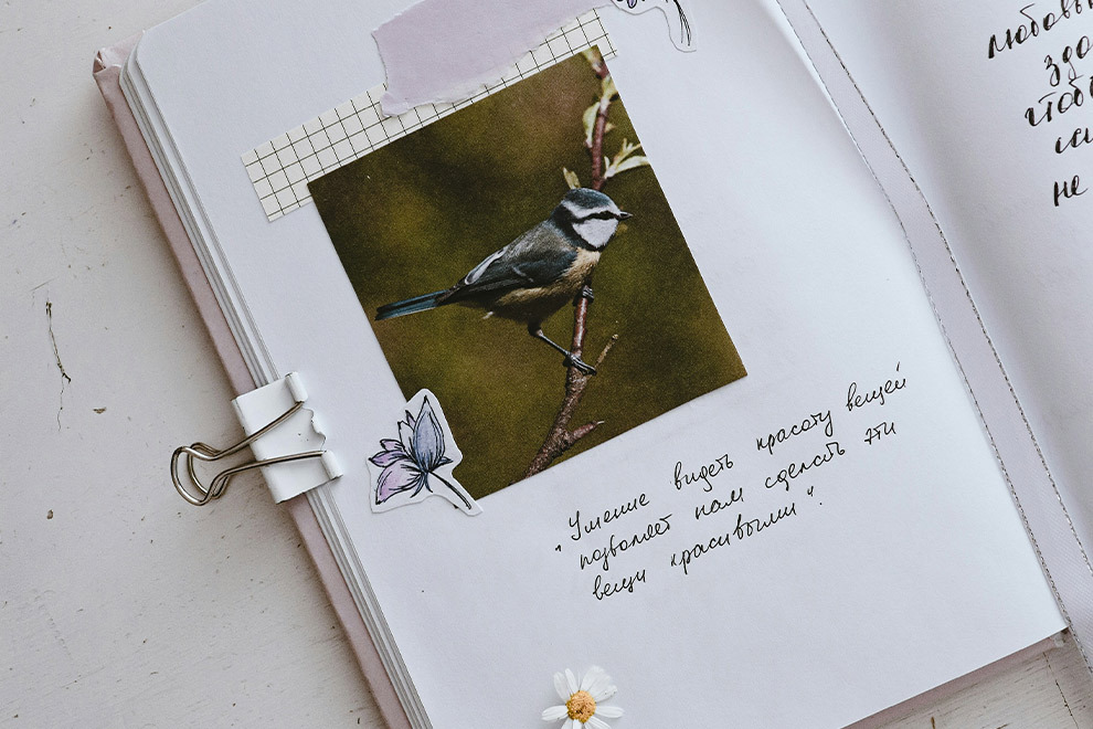 A diary with a photo of a bird and decorations in collage-style.