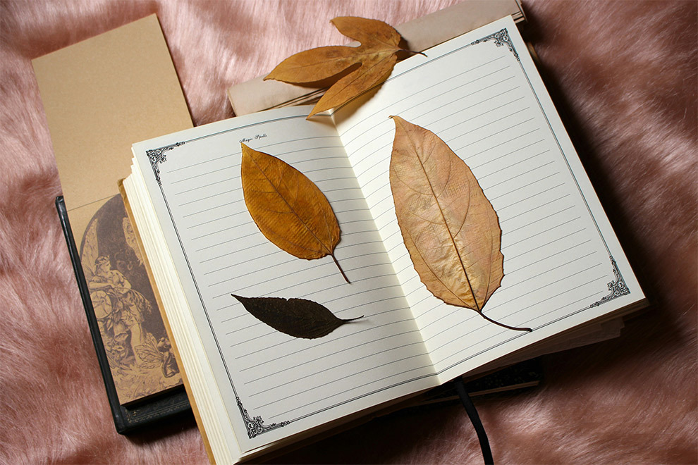 A diary with leaves between its pages.