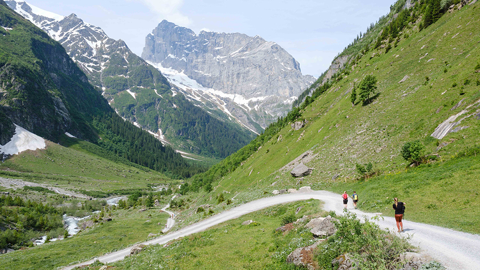 Hiken door een groen bergachtig Zwitsers landschap
