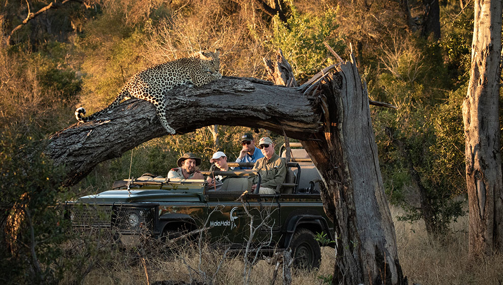 Op safari met rangers in jeep in Zuid-Afrika