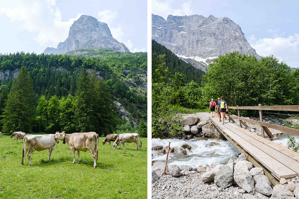 Wandelen over bruggen en langs koeien in het Zwitserse Luzern
