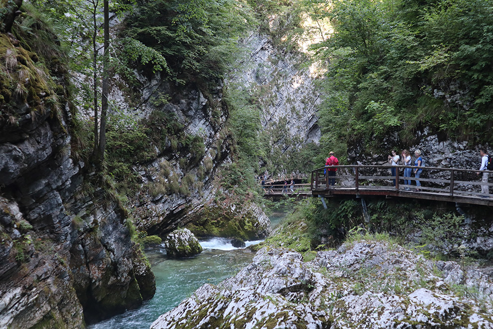 Rivier stroomt door de Vintgar kloof in Slovenië