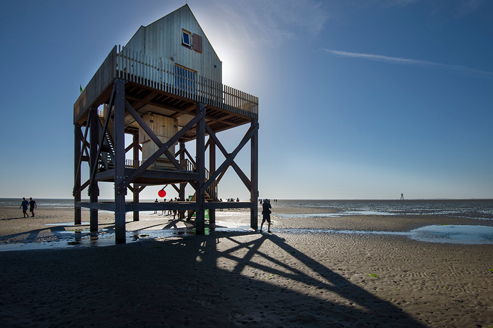 Wandelen over de zeebodem in Friesland