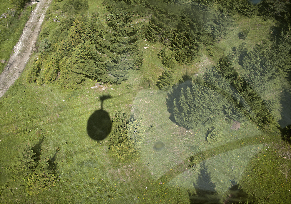 Wandelen door bossen in Tirol