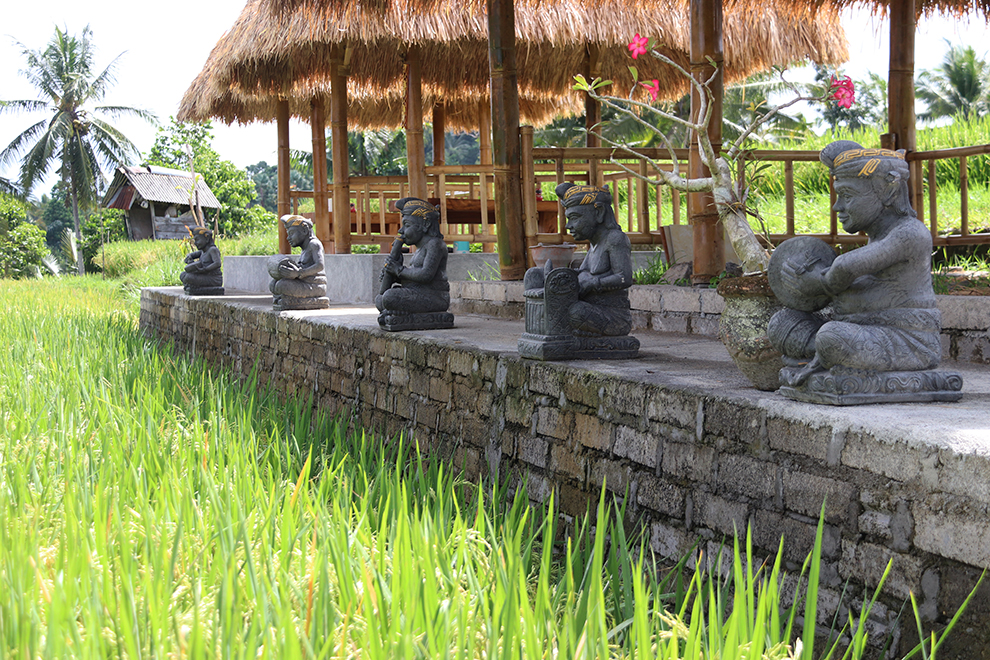 Wandeling door groene rijstvelden van Bali