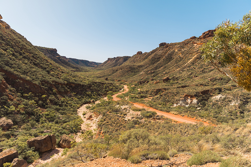 Zandweg loopt door groene vallei Cape Range National Park
