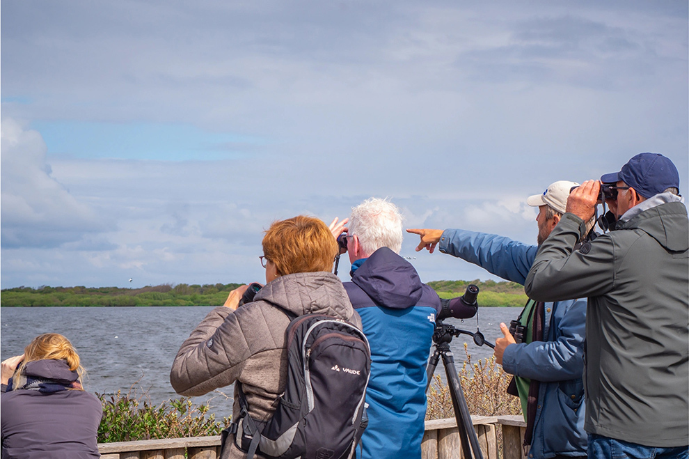 Op vogelexcursie op Texel