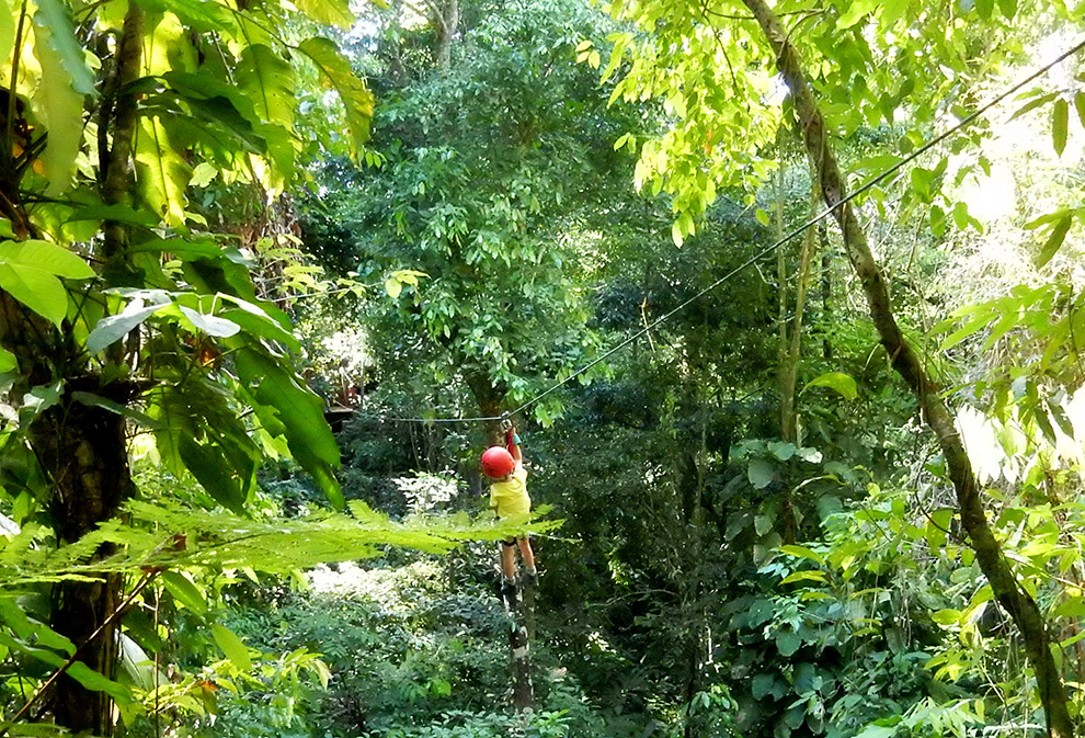 Ziplinen door jungle van Costa Rica met zoon