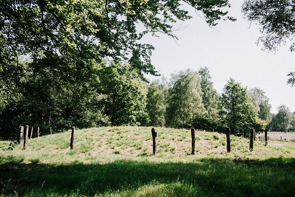 Grafheuvel bedekt met groen gras in Drenthe
