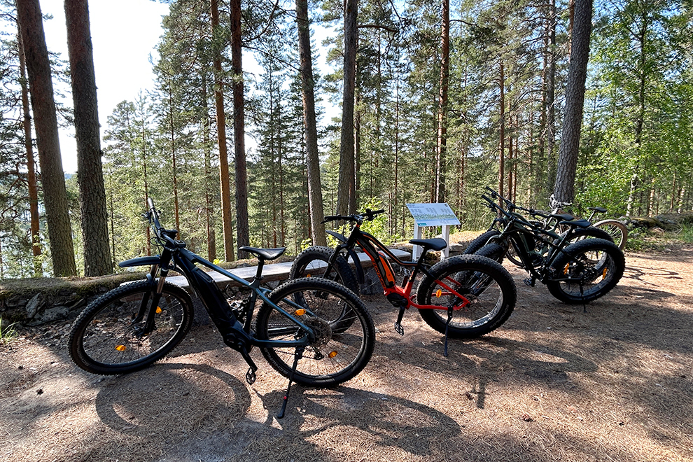 Mountainbiken door Punkaharju natuurgebied in Zuid-Finland