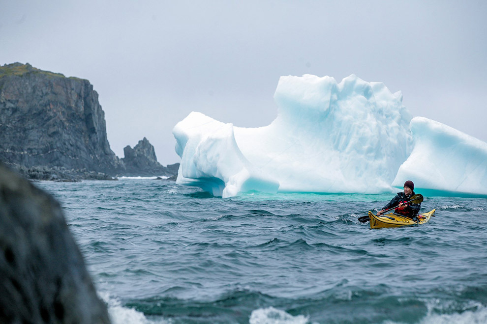 Kajakken bij ijsbergen in Newfoundland & Labrador