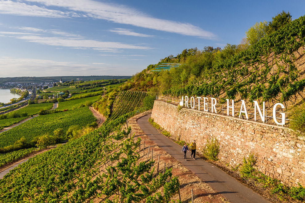 Wandelen door wijngebied in Rijn-Hessen, Rijnland-Palts
