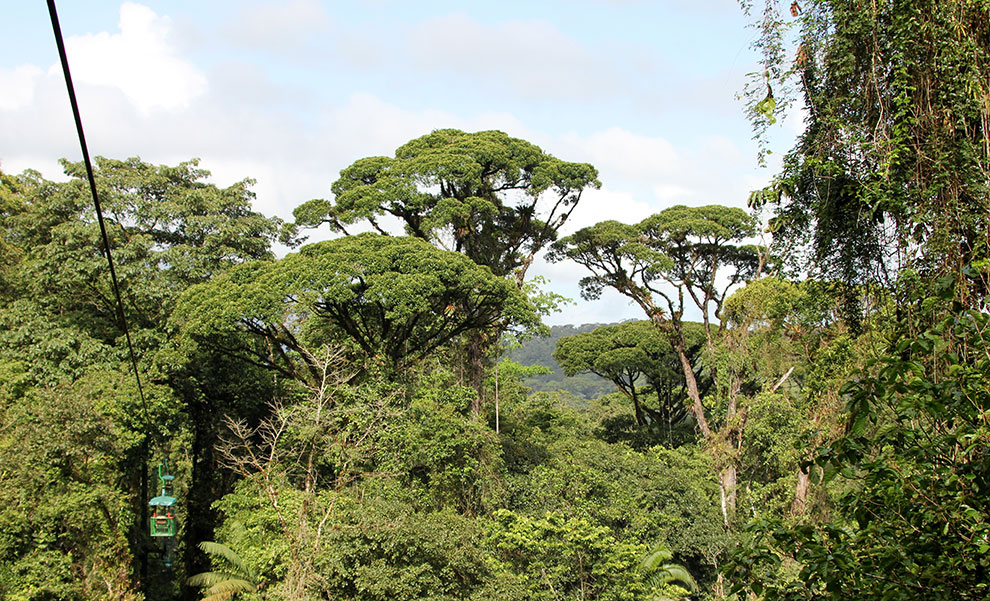 De groene toppen van het Braulio Carrillo National Park in Costa Rica
