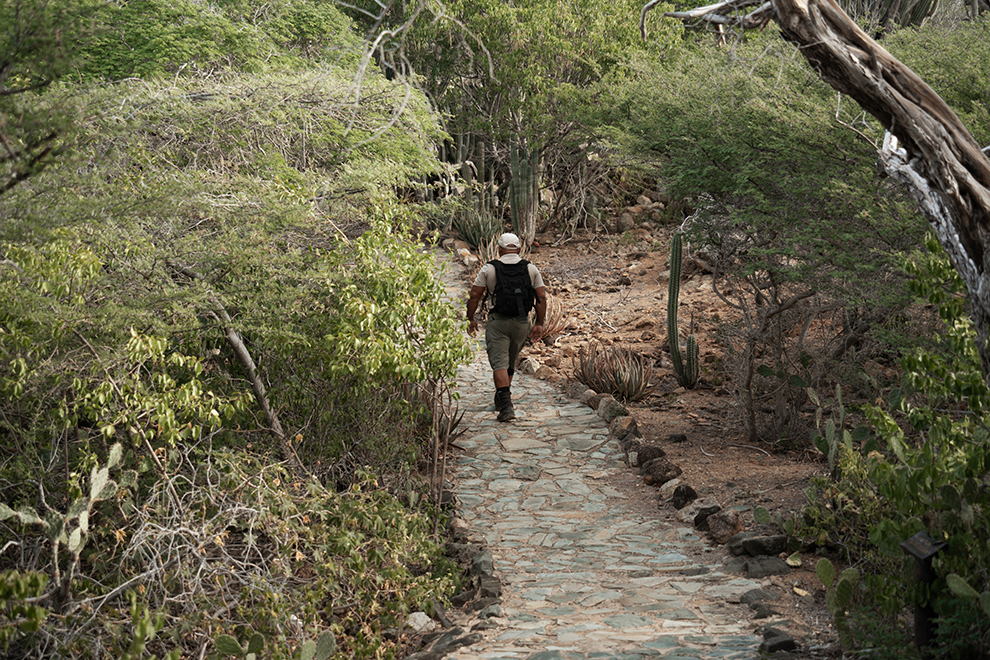 Hiken door Arikok National Park met gids Rambo