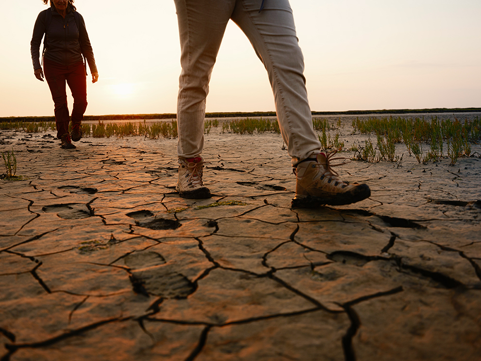 Wandelen over Het Ziltepad in Friesland