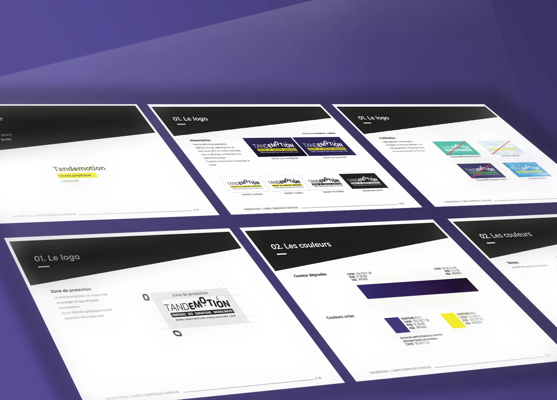 screen-projet-Tandemotion-tandemotion_03-charte-graphique.webp