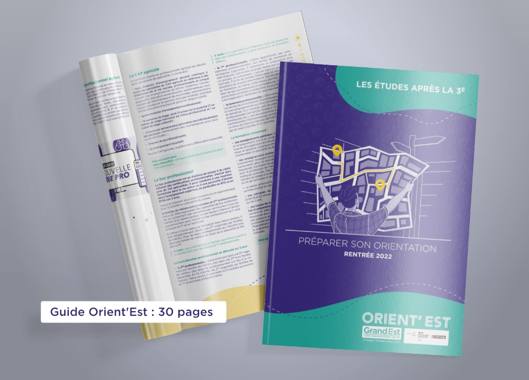 screen-projet-Grand-est-Guide Orient-Est.webp