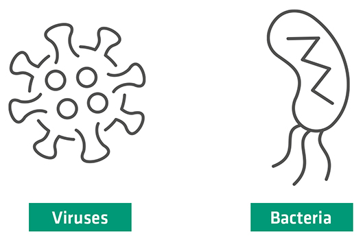 Virus & Bacteria